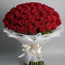 Букет 101 Красная роза Блэк Мэджик в Чернолесском