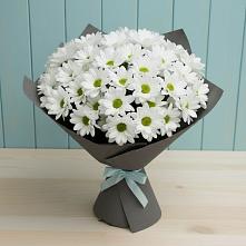 Букет цветов из:  Хризантемы #REPLACE_PRED# Чернолесском