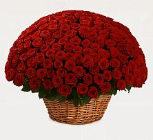 Премиум букет из: Розы в Чернолесском